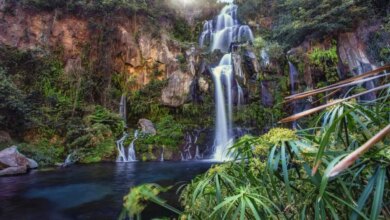 3 Aktivitäten, die Sie im Jahr 2026 unbedingt ausprobieren sollten 31 cascade