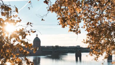 Aktivitäten und gute Angebote für alle ✨ 25 vacances toulouse