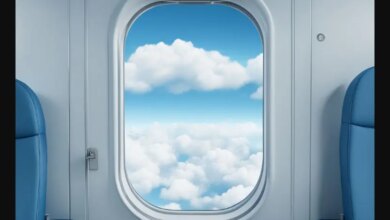 Beste Tipps und Tricks für stressfreie Flugreisen 10 Meilleurs trucs et astuces pour voyager en avion sans stress